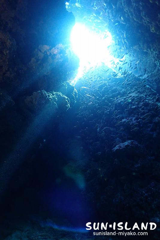 なるほどザ・ケーブ