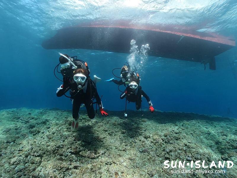 ボート体験ダイビング
