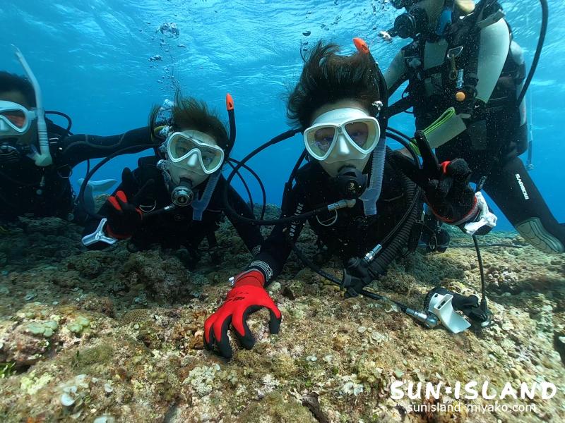 ボート体験ダイビング