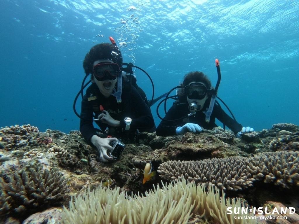 イーストコーラル棚上で楽しむご夫婦