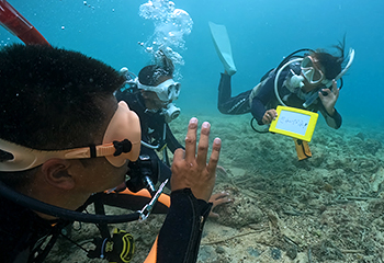 サポートも充実