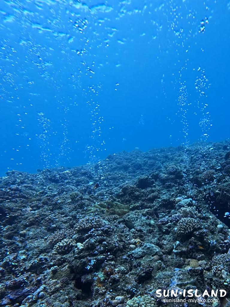 地形ポイントの岩の隙間から水底へと湧き出すダイバーの呼気(泡)