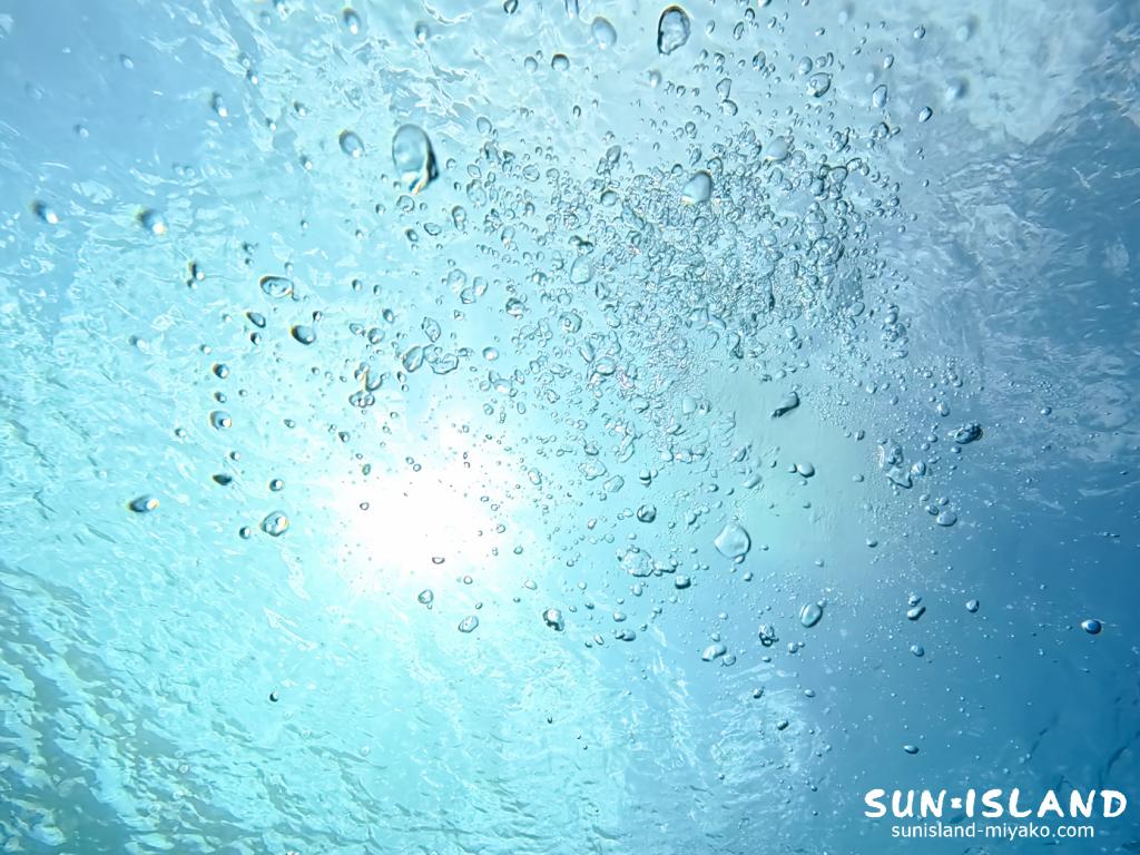 水面に浮かぶ泡が太陽光を反射しキラキラと輝く幻想的な水中の景色