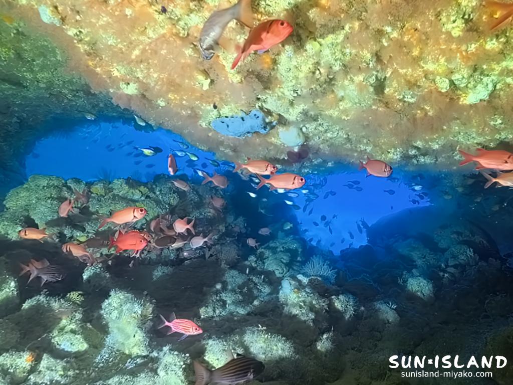 グーニーズケーブ 出口の群れとブルースクリーン