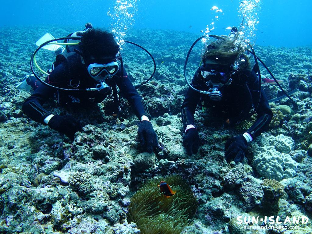 光が差し込む宮古島の美しい地中景色と体験ダイビングで出会える熱帯魚