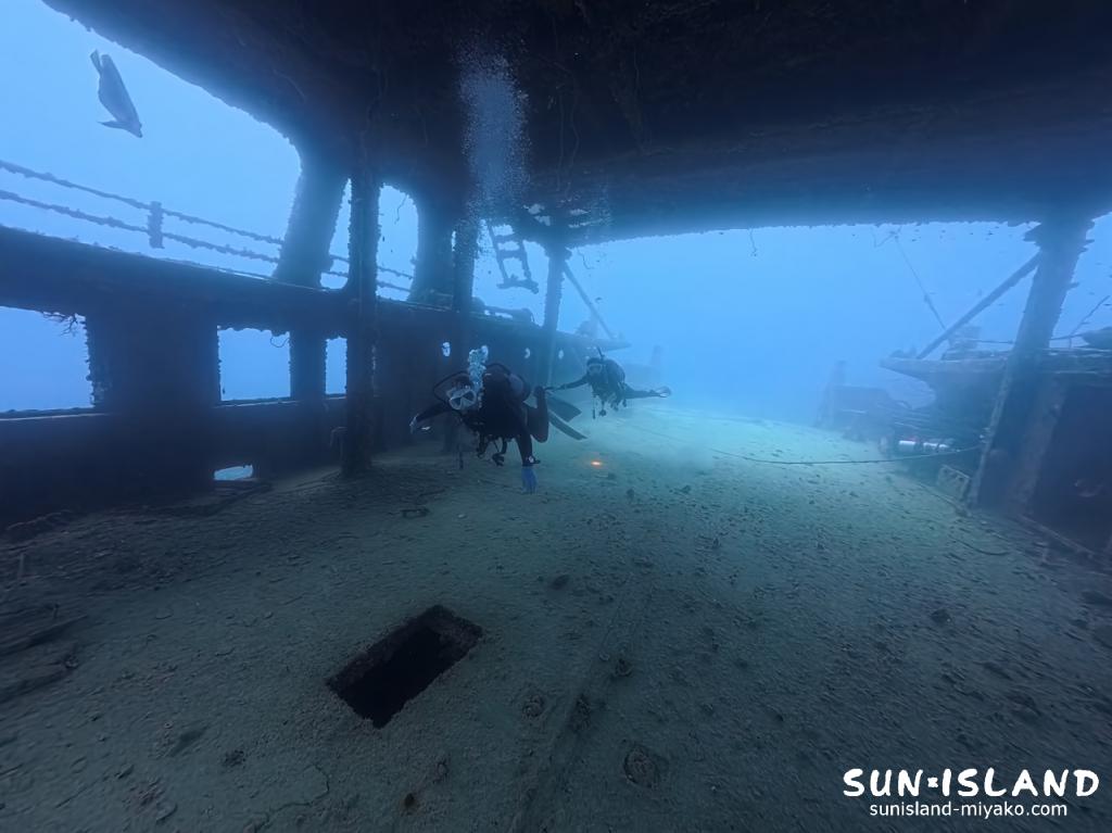 宮古島の沈船ダイビングスポットの船内に群れるアカククリの群れ
