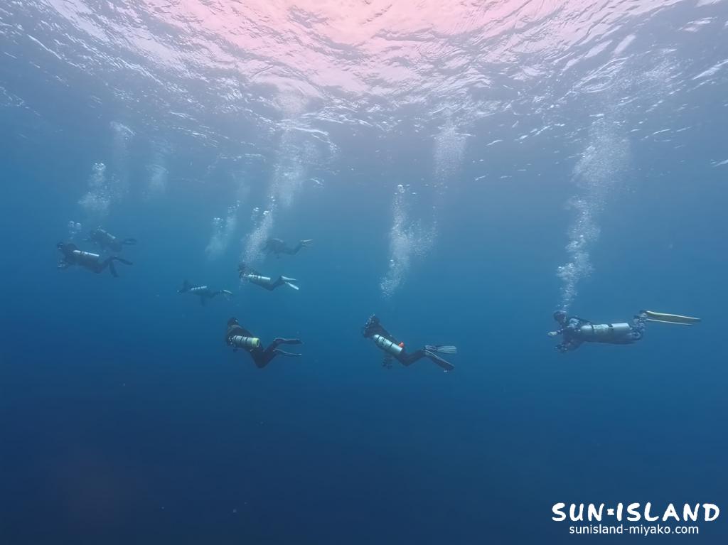 宮古島下地島のアントニオガウディへ向かう中層で、完璧なトリムを保ち移動するサイドマウントダイバーの隊列