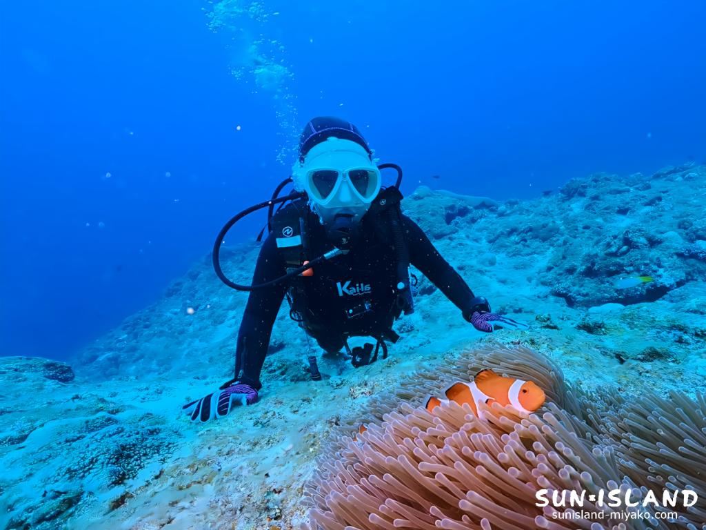 中の島チャネルのクレパスで10cm超えの巨大カクレクマノミを観察