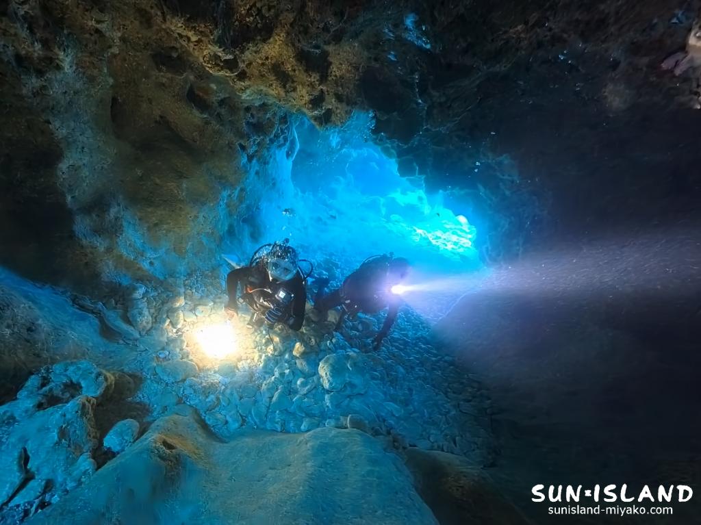 宮古島 ツインケーブの洞窟内でライトに照らされるアカマツカサの群れ