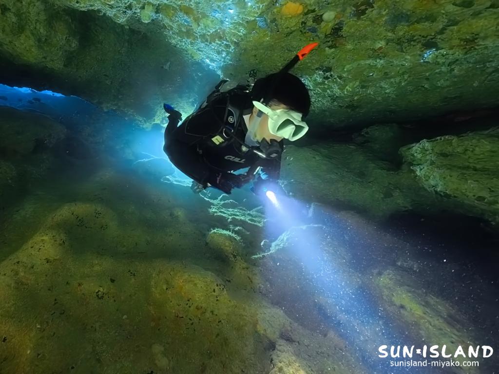 宮古島ダイビング ワープホール 洞窟内部 カノコイセエビ 甲殻類