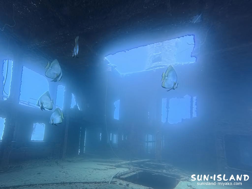 宮古島ダイビング 沈船 アカククリ 群れ 船内