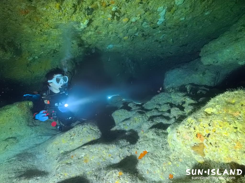 宮古島ダイビング ワープホール 洞窟内部 アカマツカサ 水中ライト
