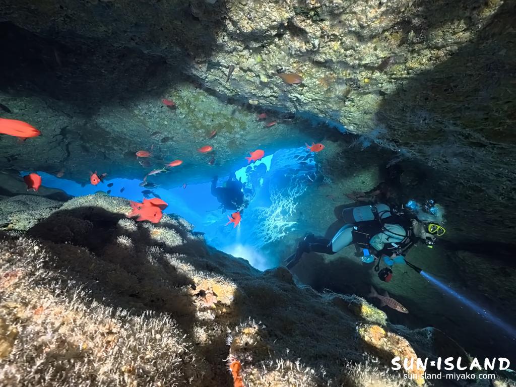 宮古島ダイビング ワープホール 洞窟 入口 伊良部島 地形