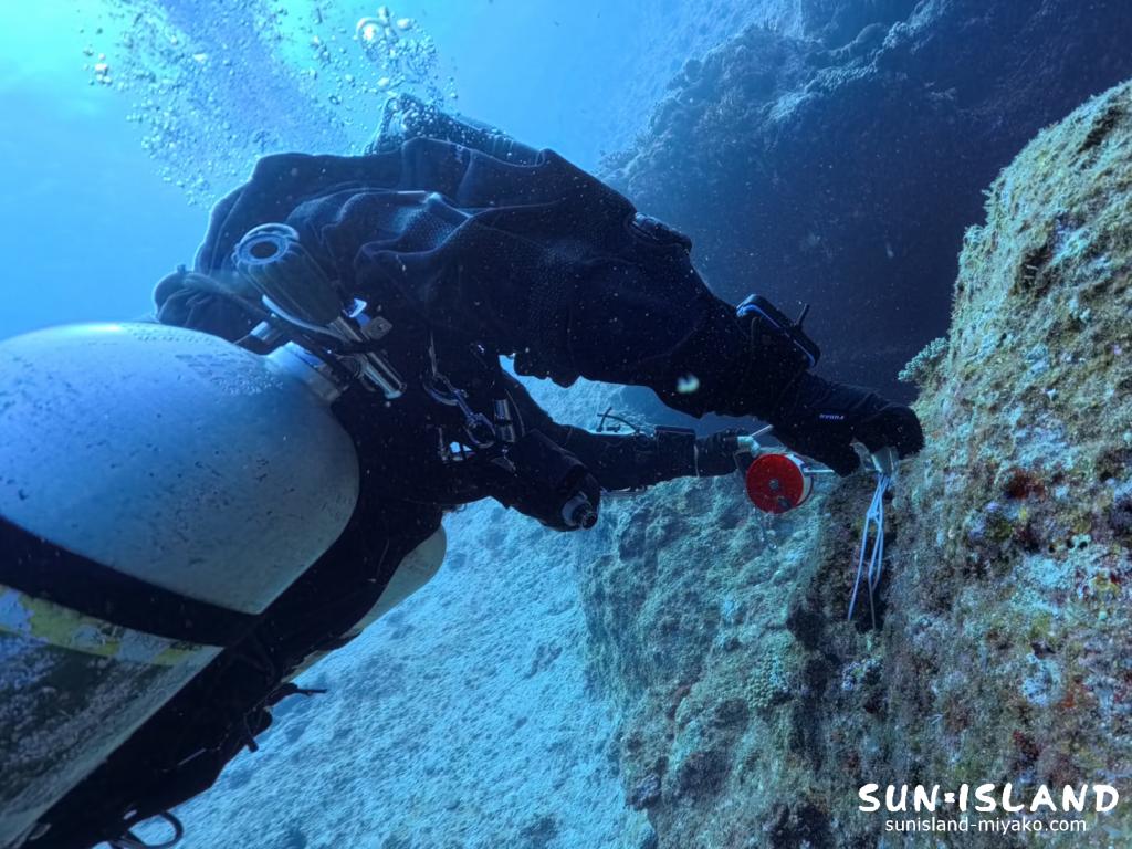 宮古島ダイビング カバーンダイビング ファーストタイオフ ラインワーク クロスホール 伊良部島
