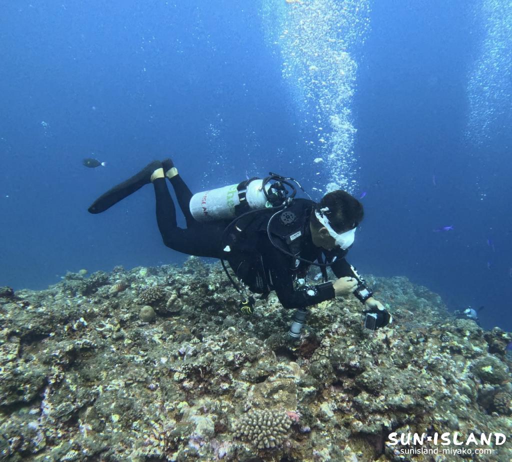 ハナダイの根 普段サイドマウントのスタイルとは違いシングルバックマウント