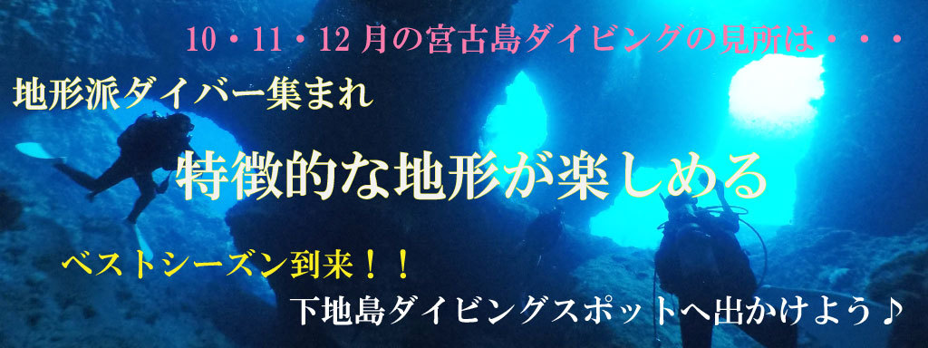 見どころのバナー