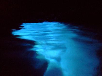 スネークホール　青の洞窟