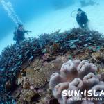 宮古島ダイビング通信:気持ちいい水中世界