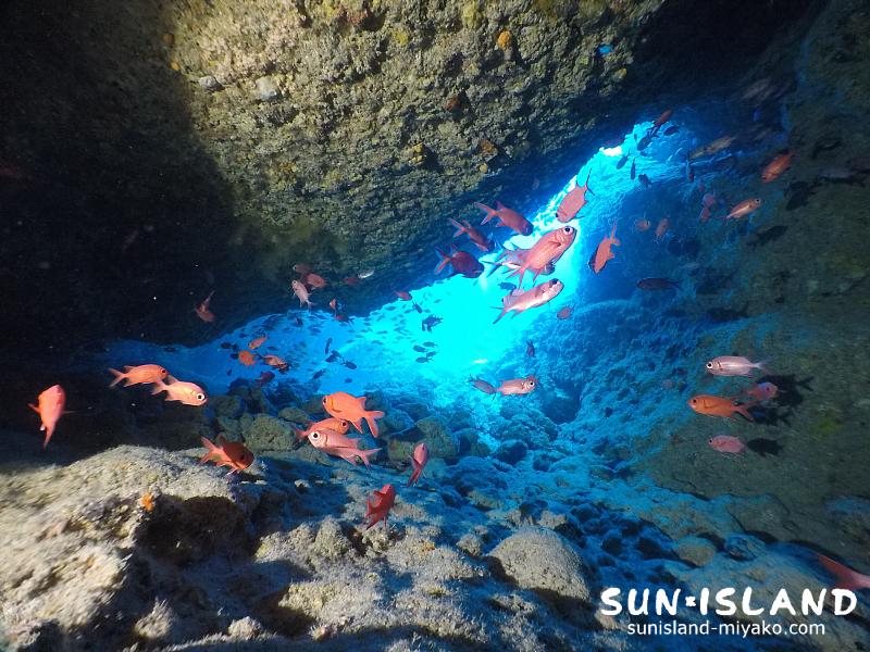 伊良部島ダイビングスポット『ワープホール』