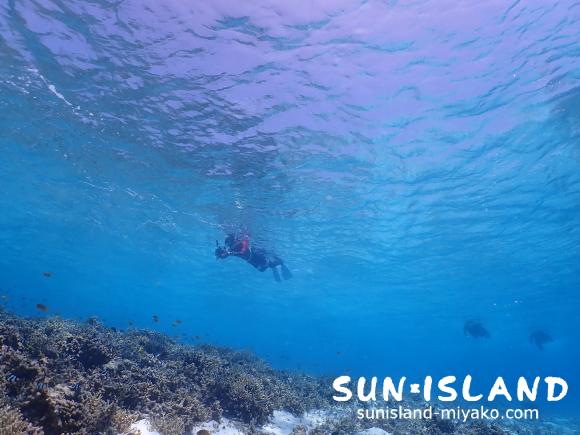 シュノーケリング