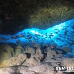 洞窟の出口に群れる魚たち
