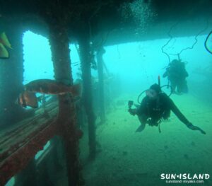 宮古島ダイビングスポット 沈船にてモヨウフグを見るゲストさんの様子
