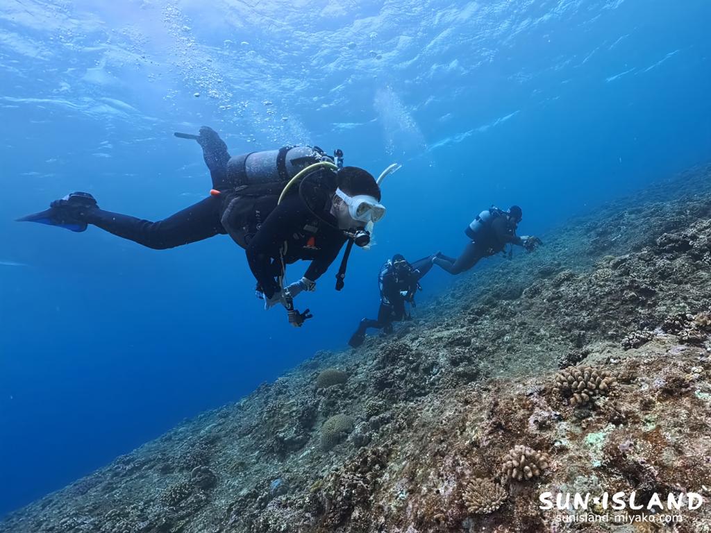 宮古島伊良部島のクロスホールへ向かって泳ぐダイビングゲスト3名