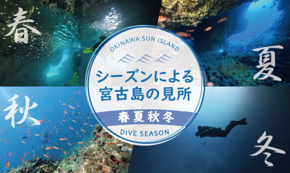 シーズンによる宮古島ダイビングの見所