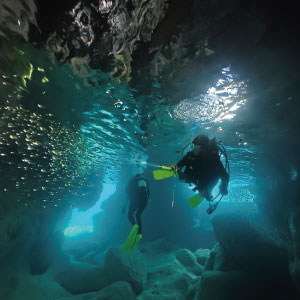 宮古島の春の見所