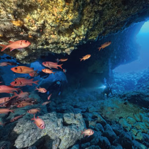 宮古島の夏の見所