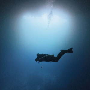 宮古島の冬の見所