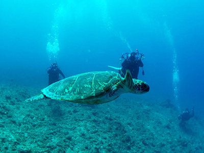 オーバーハング