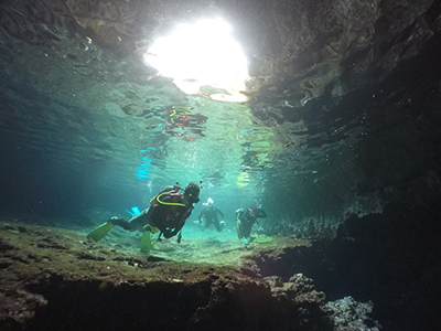 サプライズホール