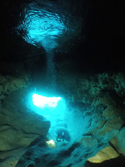 スネークホール