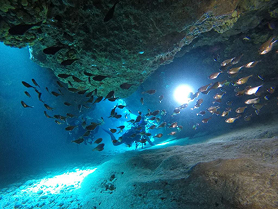 ムーンライトホール