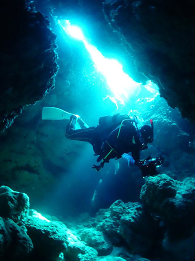 なるほどザ・ケーブ