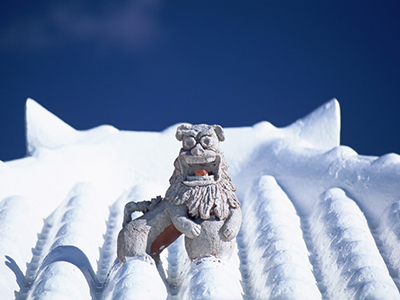 宮古島のダイビングショップ｜サンアイランド