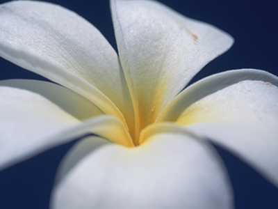 宮古島のダイビングショップ｜サンアイランド