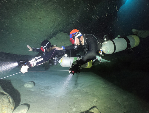 その他のPADIスペシャルティコース