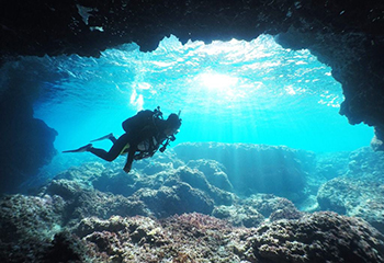 伊良部島の北側に位置する【白鳥ホール】