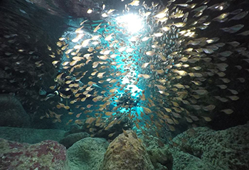 宮古島の青の洞窟【ツインホール】