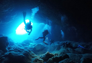 代表スポット【牛さん こわいよ】