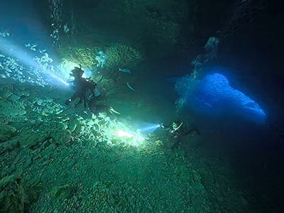 宮古島の春の見所