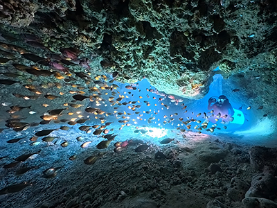 宮古島の秋の見所