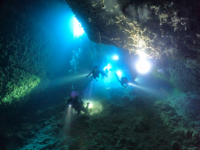 宮古島の冬の見所
