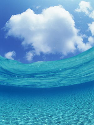 宮古島のダイビングショップ｜サンアイランド