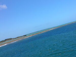 伊良部島のダイビング風景