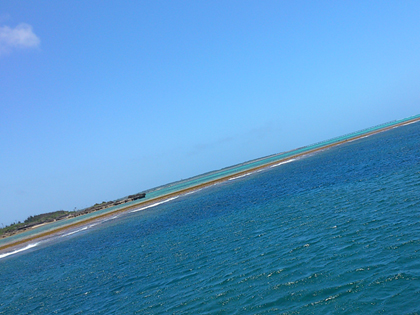 伊良部島のダイビング風景