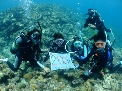 Mさん、200本記念ダイビング