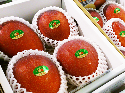 アップルマンゴー